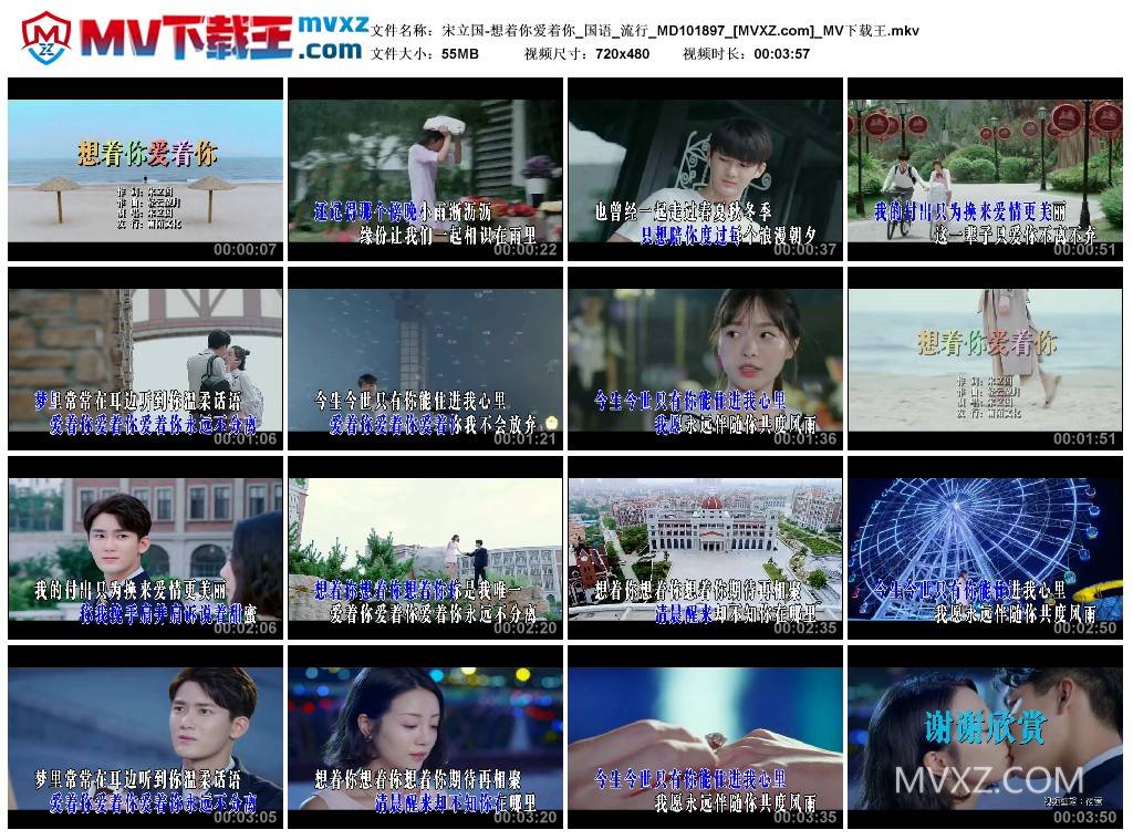 宋立国-想着你爱着你_国语_流行_MD101897